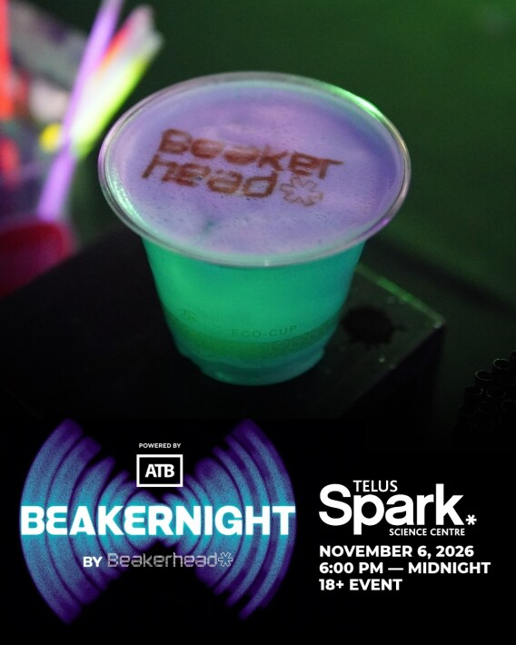 Beakernight+1  ScaleMaxWidthWzE5MjBd