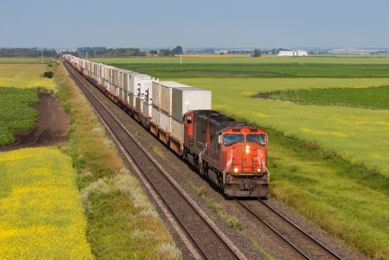 Freight train carrying containers through green and yellow farmland.