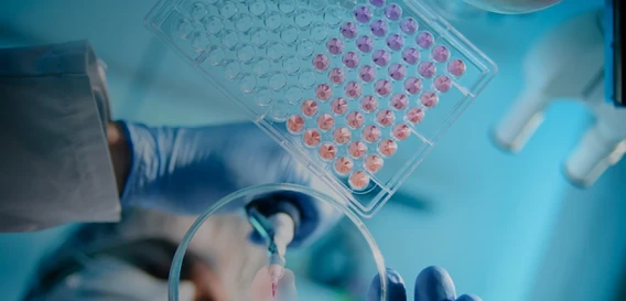 Gloved hands dispensing liquid into a multiwell plate during laboratory testing.